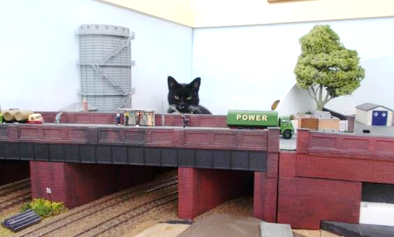 With her striking white whiskers, Somer the Tuxedo cat undertakes an inspection of both the pedestrians and motor traffic crossing Somersbury Lane bridge.
Here the railway’s Cathedral sub-station has yet to be put in place. 
www.EwhurstGreen.com 
